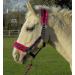 Rhinegold Crystal Star Headcollar & Rope Set Pony Navy/Pink