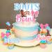 kreat4joy 25pcs Boots Or Bows Gender Reveal Decorations Double-Sided Printing Boots Or Bows Cake Topper Cupcake Toppers for Western Cowboy Cowgirl Gender Reveal Party Decorations - Buy Online on GoSupps.com
