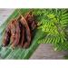 Quast Horseradish Fresh Tamarinds - 100% Sweet & Sour Dates from Thailand | 400g Pack - Buy Online - Buy Online on GoSupps.com
