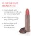 100% Pure Cocoa Butter Matte Lipstick - Long-Lasting Moisturizing Lip Color for All Skin Tones - Vegan Fruit Pigmented Pink Canyon (Dusty Pink) - 0.15 oz - Buy Online on GoSupps.com