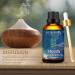 100ML Myrrh Essential Oil 100% Pure Undiluted Aromatherapy Myrrh Oil 3.38fl.oz for Soap Candle Making Massage Diffuser Humidifier BR-Myrrh 100.00 ml (Pack of 1) - Buy Online on GoSupps.com