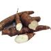 Cassava Root Fertility Supplement for Twins | Natural Pregnancy Vitamin | 2 Month Supply - Buy Online on GoSupps.com