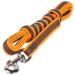 IDC Color & Gray Rubberized Leash - 20mm x 3m (Without Loop) - Durable & Stylish Orange-Gray Design for International Shipping - Buy Online on GoSupps.com