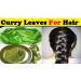 MB Herbals Curry Leaf Powder 227g | Promotes Hair Growth & Volume | Natural Thicker Hair Solution - Buy Online on GoSupps.com