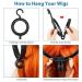 ORROENS Hanging Wig Stand - Premium 3 Pack for Display, Storage & Styling | Portable & Durable Wig Hanger to Keep Wigs in Shape - Buy Online on GoSupps.com