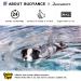 Queenmore Adjustable Dog Life Jacket - High Buoyancy Ripstop Lifeguard with Durable Rescue Handle for Medium Dogs (Gray L) - Perfect Safety Gear for Water Adventures - Buy Online on GoSupps.com