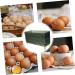 Serving Tray Box Plastic Container Plastic Pallet Fridge Egg Container Multi-Layers Eggs re-usable Green 26.5X16X10CM - Buy Online on GoSupps.com