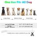 Auauy LED Light Neck Band for Dogs & Cats | Adjustable USB Charging Waterproof Safety Silicone Collar - 4 Color Modes - Buy Online on GoSupps.com