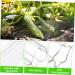 Gogogmee 4pcs Garden Cucumber Star Candy Shaped Growth and Plangting Vegetables Rigid Growing Vessel - Buy Online on GoSupps.com