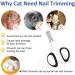 OneCut Pet Nail Clippers - Professional Cat & Kitten Claw Trimmers for Small Dogs- Black - Buy Online on GoSupps.com