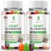 2 Packs Hemp Gummies for Sleep Pain Anxiety - High Potency Advanced Extra Strength with Pure Natural Hemp Oil - H mp Gummy for Adults