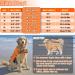 Emust Rescue Vest for Dogs - High Buoyancy Life Jacket for Small Medium Large Dogs - Ideal for Swimming Beach & Boating - New Orange - Buy Online on GoSupps.com