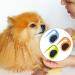 GMXJGZ 3PCS Pet Knot Opener Grooming Knife - Cat Knot Comb Hair Removal Tool & Massage Brush | Blue Green Orange - Buy Online on GoSupps.com