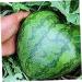 OSALADI Square Tool Strawberry Tool Garden Shaping Molds Fruit Shaping Molds Tool Vegetable Heart-Shaped 17x17cm Transparent - Buy Online on GoSupps.com