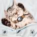 Reflective GPS Cat Neck Band with Apple AirTag - Adjustable & Bell Fits XS 7-9 inch Cats & Puppies - Jiarui Orange Collar - Buy Online on GoSupps.com