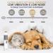 Low-Noise Electric Nail Grinder for Cats & Dogs - Painless 2-Speed Claw Trimmer - Safe, USB Rechargeable & Portable - Small & Medium Pets - Buy Online on GoSupps.com