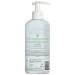 ATTITUDE Baby Leaves Science Shampoo & Body Wash 16 oz - Gentle & Natural Baby Care - Buy Online on GoSupps.com