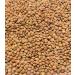  Sabarot Sabarot - Organic blond lentils - 500g bag - Buy Online on GoSupps.com