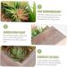Cabilock Simulation Succulent Potted Plant Wooden Ornaments Plastic Green 23x10x17cm - Buy Online on GoSupps.com