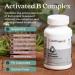 LUMINSPIRED Health Activated Vitamin B Complex with Vitamin C & Biotin All Vitamin B Dietary Supplement for Immune Support Metabolism Antioxidant Mood & Energy Gluten Free Vegan - 90 Counts - Buy Online on GoSupps.com