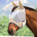 Maskology Horse Fly Mask with Ears UV Protection - L Full, Light Champagne - Buy Online on GoSupps.com