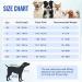 SlowTon Dog Surgery Recovery Suit Female Male - Dog Cat Surgical Recovery Zipper Shirt Neuter Prevent Licking Pet Recovery Cone E-Collar Abdominal Wounds Bandages Alternative(Blue&White L) Large Blue&white - Buy Online on GoSupps.com