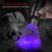 modaao UV Flashlight Black Light 395nm 21 LED UV-Ultraviolet Blacklights Handheld Torch Light for Dogs Pet Stains Bed Bugs Scorpions - Buy Online on GoSupps.com