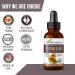 Papaya Seed Extract Liquid Juice - Organic 1oz Sublingual Bottle for Gut Health, Immune & Digestion Support - Herbal Goodness - Buy Online on GoSupps.com