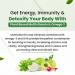 Generic Vegan Omega-3 Capsules with plant based Multivitamin EPA DHA 25+ Ingredients - 60 veg capsules - Buy Online on GoSupps.com