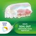Super Poligrip Original Denture Adhesive Cream - 2.4 oz (Pack of 4) | Zinc-Free Denture Cream - Buy Online on GoSupps.com