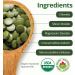 AimGrow Organic Chlorella Chlorella Tablets with Broken Cell Wall Canada Organic 500mg 300 Counts - Buy Online on GoSupps.com