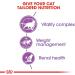 Royal Canin Cat Food Mature Sterilised +7 yrs 1.5kg 1500g - Buy Online on GoSupps.com