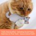 Bojafa Cat Catnip Toys For Indoor Cats Adult: 3 Pack Soft Kitten Teething Chew Toys Small Cat Kicker Toy Interactive Catnip Plush Toys Strong Catnip Pillow Pet Cute Cat Nip Teeth Cleaning Toys - Buy Online on GoSupps.com