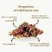 Red Berry Tea Loose Organic 100g (50 Cups) | Caffeine Free Fruit Loose Leaf Tea with Hibiscus Cherry Raspberry Strawberry REPLANTEA - Buy Online on GoSupps.com