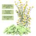 Real Chamomile Capsules 360 | Pure Chamomilla Flowers for Stomach & Relaxation | Natural Adaptogen 129.6g - No Additives | Fast Worldwide Shipping - Buy Online on GoSupps.com