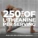 HIGH POTENCY L-Theanine Supplements 250mg Stress Support Improved Sleep Promotes Calm & Relaxation Anxiety Relief Natural Vegan Gluten Free. 120 Capsules 2 Packs 240 count (Pack of 1) - Buy Online on GoSupps.com