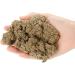 Gold Moxa Premium Mugwort for Moxibustion | Relieve Pain & Expel Cold | 1000g Health Care Heating Massage - Buy Online on GoSupps.com