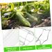 SUPVOX 4pcs Shaped Cucumbers Cucumber Shaping Vegetable Growing Tools Ginseng Fruit Candy - Buy Online on GoSupps.com