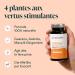 NOVOMA Organic Boost Formula Energy Boost Supplement With Guarana Acerola Maca & Ginger Rich in Caffeine and Natural Vitamin C 90 Vegan Capsules Made in France - Buy Online on GoSupps.com