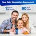 Magnesium Carbonate Capsules 500mg Magnesium Carbonate Supplement with Calcium Vitamin B6 D3 Zinc for Digestive Muscle & Nerve Health Gentle & High Absorption Vegan Non-GMO 90 - Buy Online on GoSupps.com