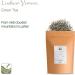 Wild Lushan Yunwu Green Tea - April Wind A Fog-clouded Chinese Tea 100g - Buy Online on GoSupps.com