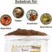 Natural Humus Brick - 20L Coconut Substrate for Terrariums | Ideal for Reptiles - Loose Dry Floor Earth - Buy Online on GoSupps.com