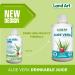 Pure Aloe Vera Juice Pomegranate 500 ml - Cold-Processed from Organic Fresh Leaves for Intestinal Issues Made In Canada (Pack of 2) 500 ml (Pack of 2) - Buy Online on GoSupps.com
