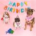 NITAIUN 4 Pcs Dog Birthday Hat Dog Birthday Party Bandana Puppy Dog Birthday Outfit with Bow Tie Collar and Number Dog Cat Costumes for Pet Birthday Decorations Party Decoration Set (Pink) - Buy Online on GoSupps.com
