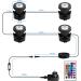 Natpow LED Underwater Pond Lighting - RGB Color Changing Lights with Remote Control - IP68 Waterproof Garden & Patio Lighting (4 in 1) - Buy Online on GoSupps.com