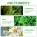 Biotin Rosemary Shampoo for Thinning Hair - Strengthening Rosemary Mint Formula 10.56 oz / 300 ml - Effective Hair Loss Care - Buy Online on GoSupps.com