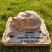 SoMiss Personalized Pet Memorial Stone with Sleeping Kitten | 8x6.5x3 Grave Marker - Buy Online on GoSupps.com