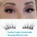 DAODER 8D Half Wispy Cat Eye Mink Lashes - 15mm Reusable Soft 3D False Eyelashes - 5 Pairs for Daily Wear - Buy Online on GoSupps.com