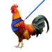 Molain adjustable chicken harness with leash comfortable chicken vest Breathable chicken training tableware mesh pet dishes for 2 11 lb (1 5 kg) duck hen hen traning medium (blue)