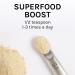 Host Defense Chaga Powder 3.5 oz - Antioxidant Support Mushroom Supplement - Buy Online on GoSupps.com